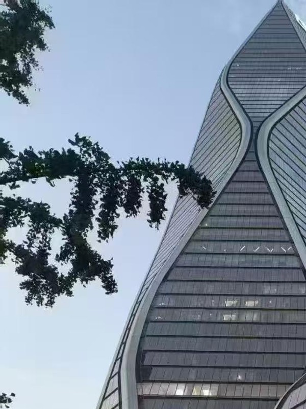 专业进修